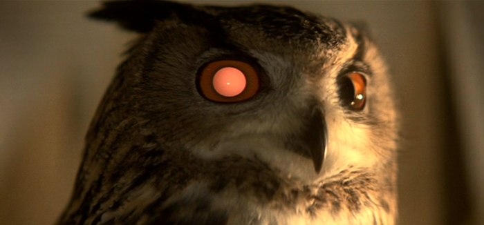 Blade Runner Owl